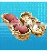 Peanut Exporter