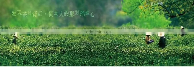 Matcha tea japanese organic matcha green tea powder
