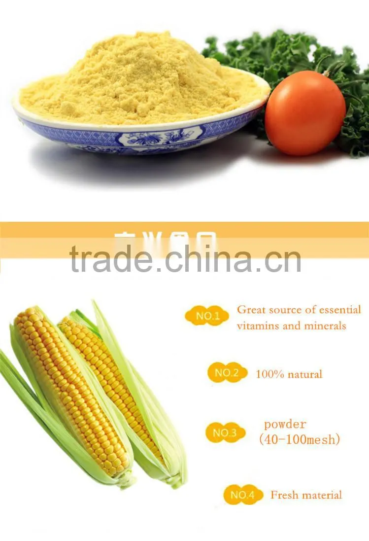 Yellow maize/corn powder FD corn powder