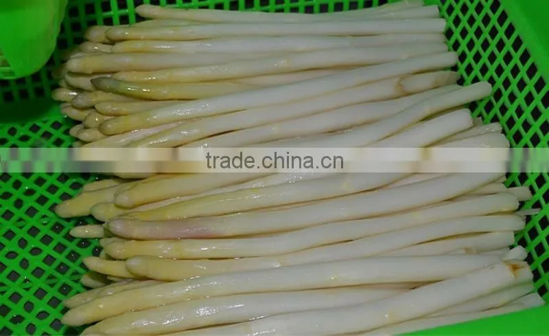 Canned white Asparagus 12jars/370ML