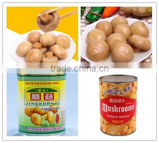 good taste canned champion mushroom whole