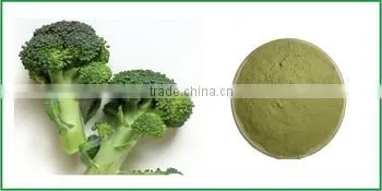 100% Natural Fruit and Vegetable Powder Manufactuerer Supply Spray-dried Broccoli Instant powder