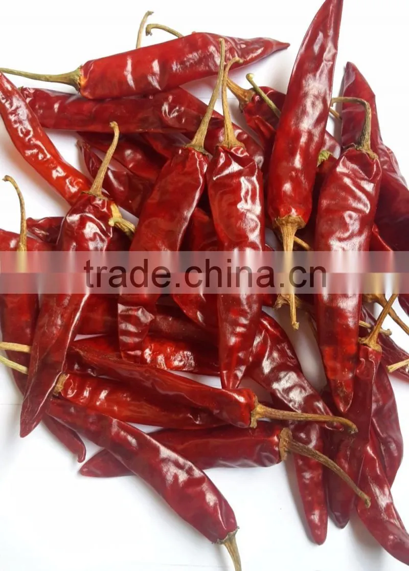 Indo- 5 Chilli/US- 5/Endo 5 Chilli Exporters
