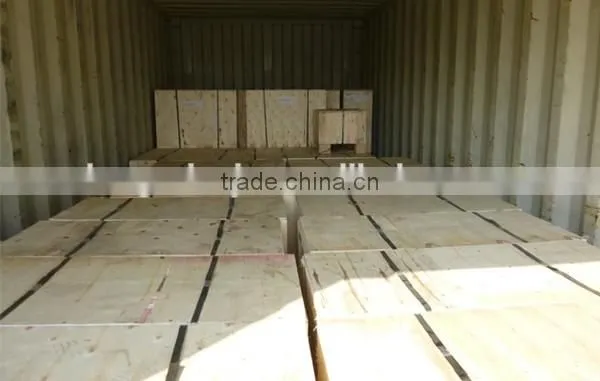 CE Approved Series Pellet Machine/Biomass Pellet Machine on Sale