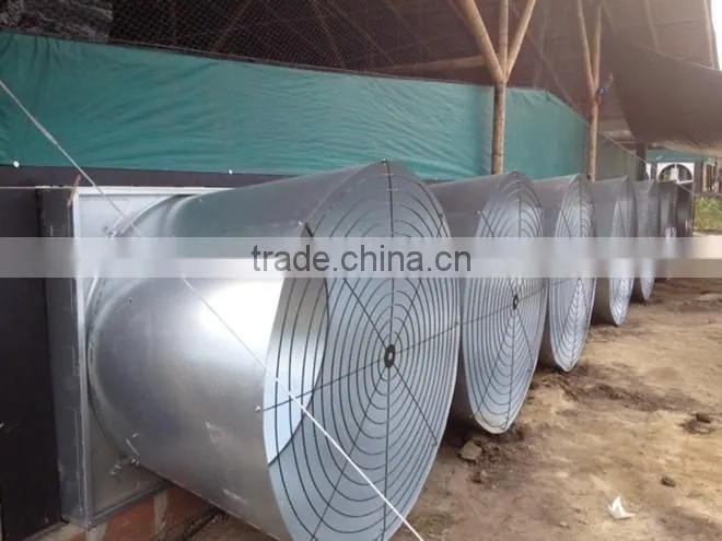 commercial steel structure poultry house/chicken farm/broiler shed