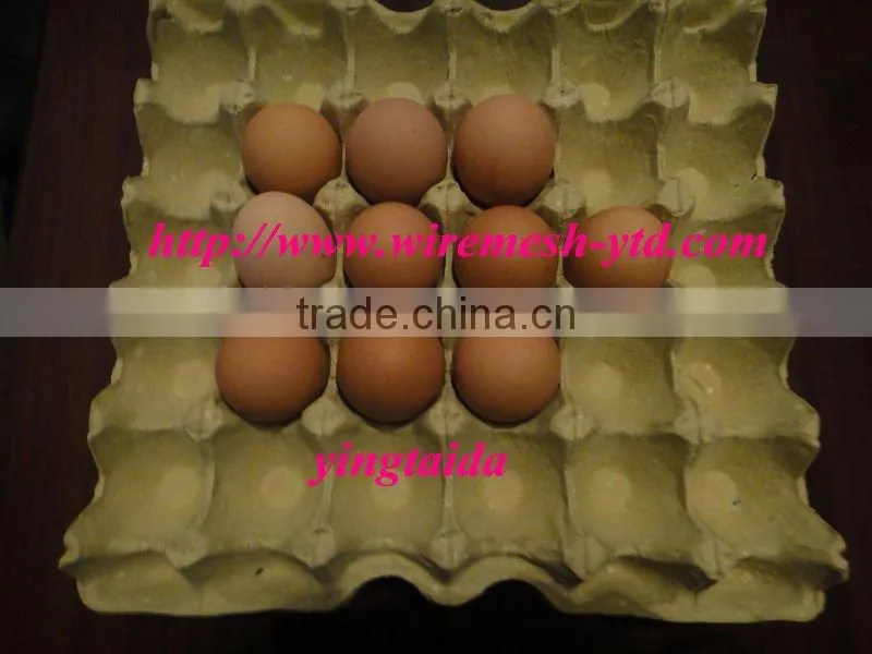 egg tray india
