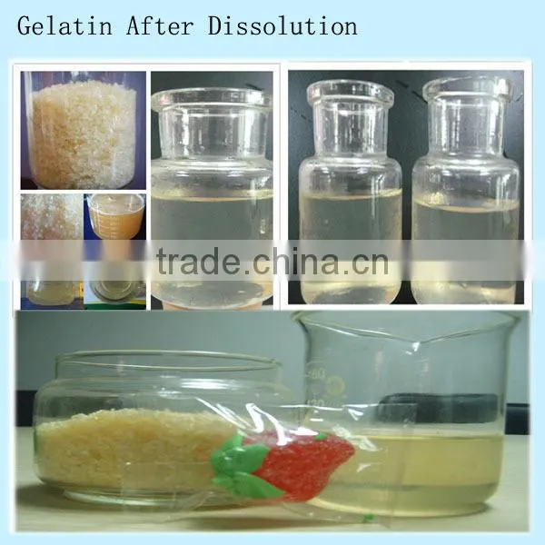 gelatin scrap