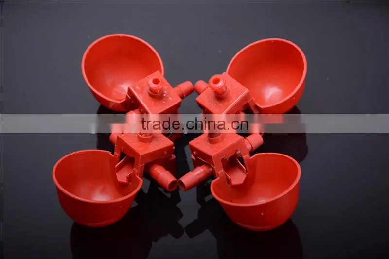 red pigeon water bowl / pigeon water feeder