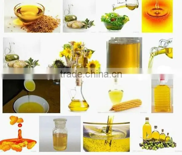 6YY hydraulic peanut oil press manufacturer quality first