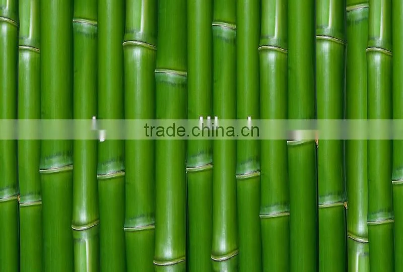 Original bamboo sawn machine