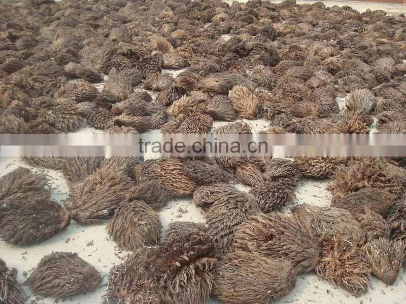 fiber extractor machine made in China to process coconut husks and oil palm empty fruit bunches