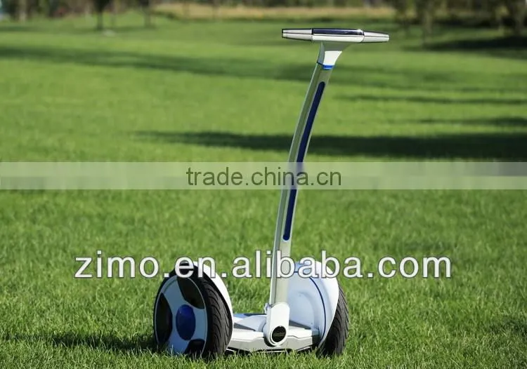 China electric chariot