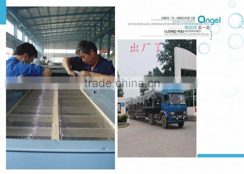 Linear Vibrating Separator for Crispy Rice