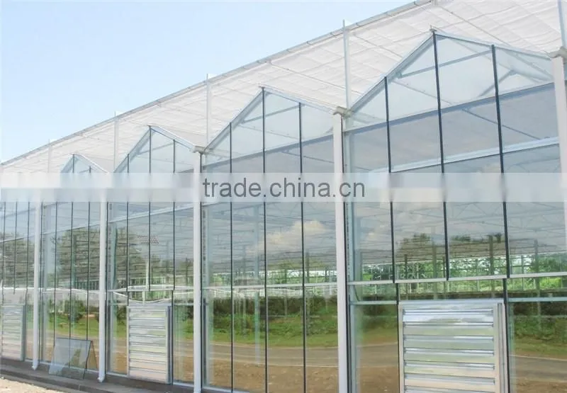 Light steel structure multi span glass greenhouse for modern agriculture