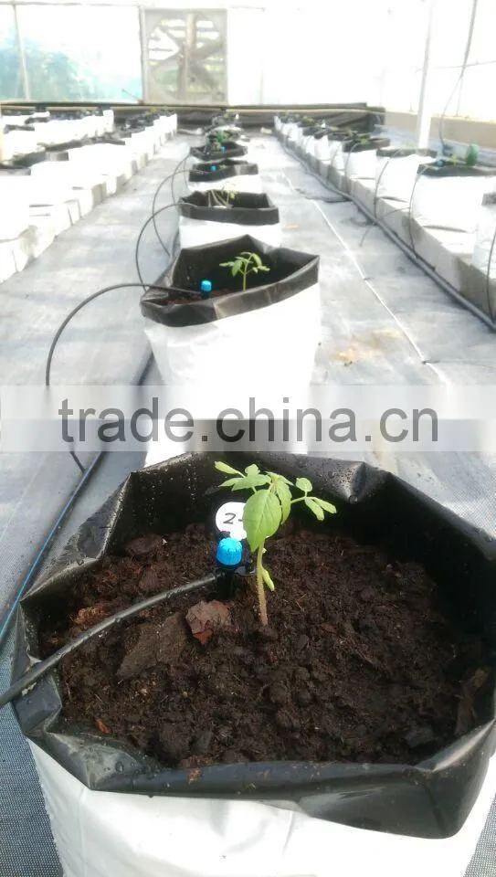 cucumber grow planter bag