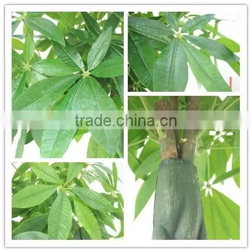 CHY030928 Potted money bonsai tree/high initation fake tree with good futurn