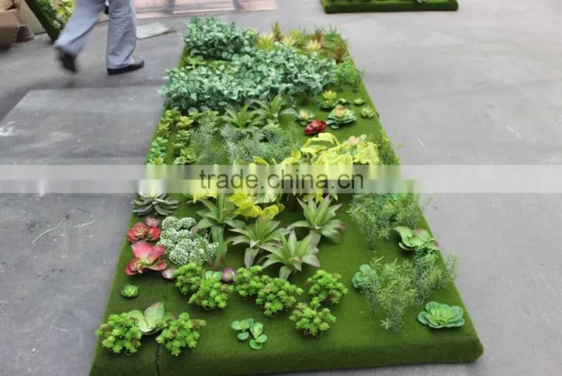 succulent plants green wall interior decoration for sale