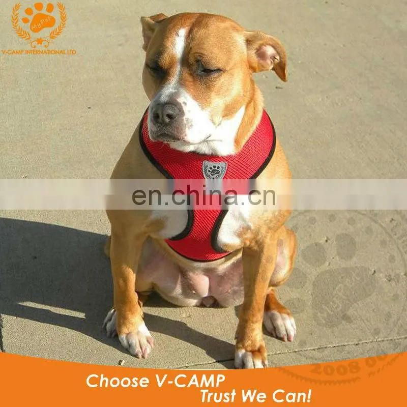 My pet air mesh harness for your little puppy