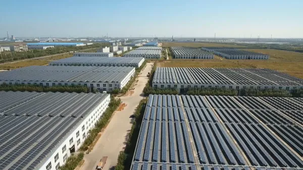 Shouguang Fuhsi Wood Group company overview - view 3