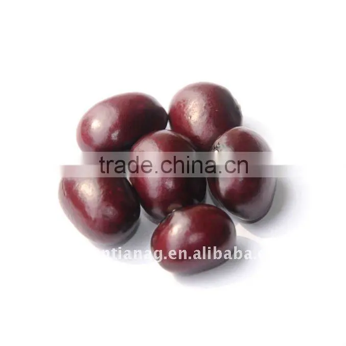 Purple round kidney bean