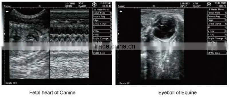 FN260V Full digital B model vet ultrasound device