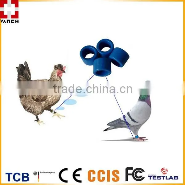 VANCH uhf rfid pigeon foot ring tag for livestock breeding