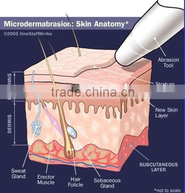 VY-QD01 Hotsale Diamond Microdermabrasion Face Beauty Tips For Women