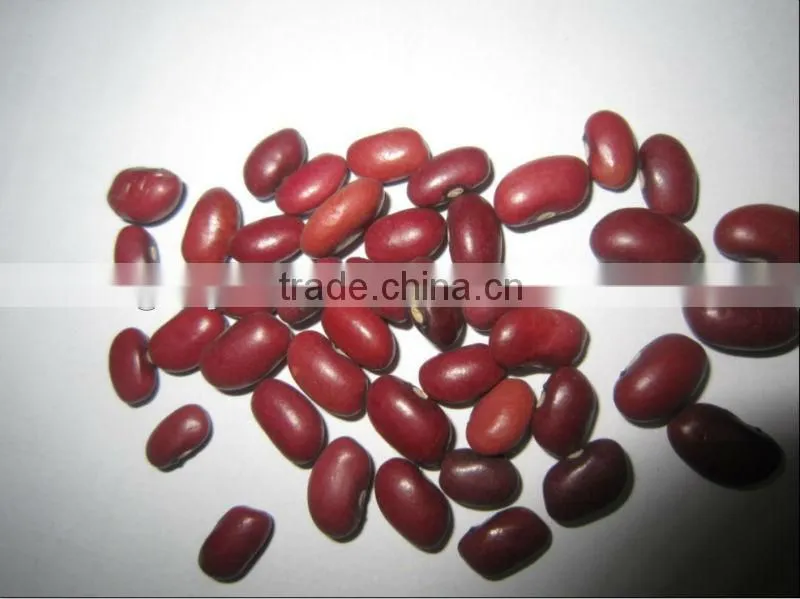 Dried Peas and other beans
