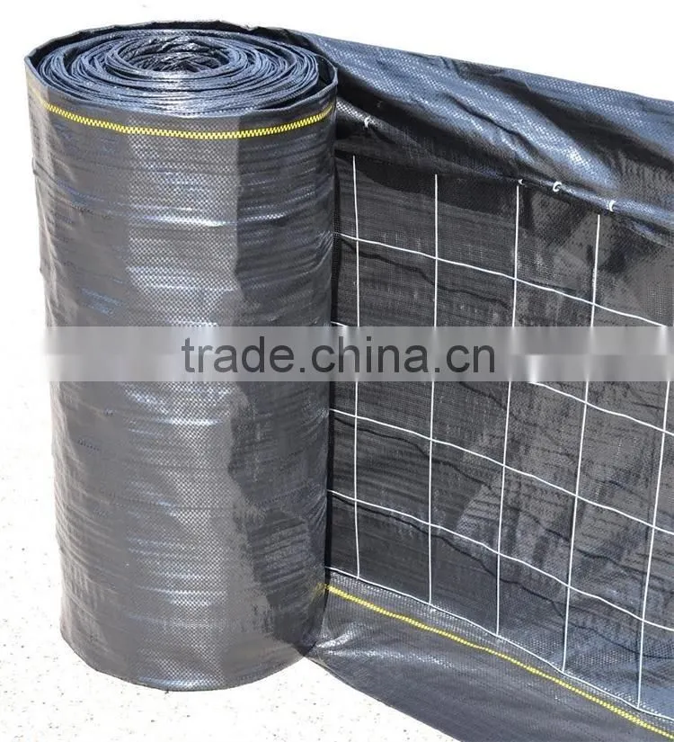 Woven black landscape fabric welded wire mesh and PP landscape fabric 14 ga welded wire with silt fence (UV Resistance)