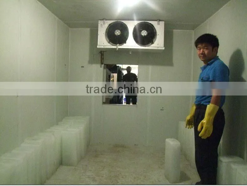 automatic aluminum ice block maker 5 tons per day