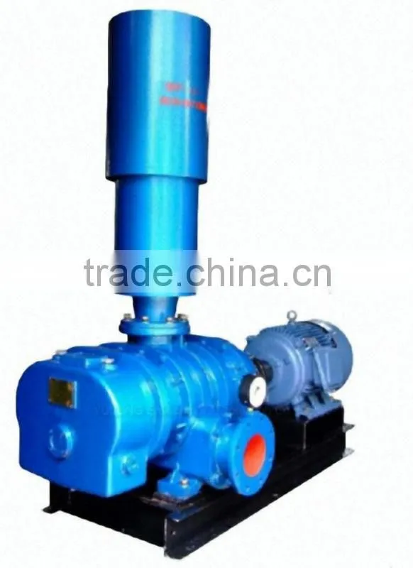 Roots Blower for aeration system