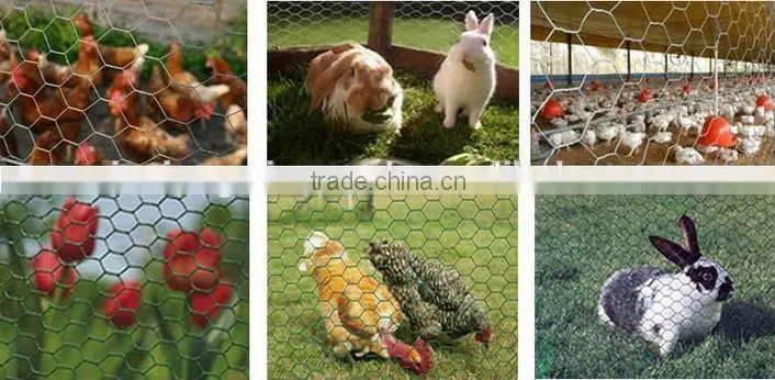 galvanized hexagonal gabion wire mesh/gabion protective mesh/gabion mesh roll