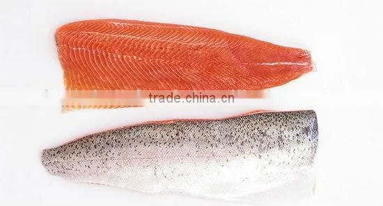 fresh frozen salmon chum salmon fillets