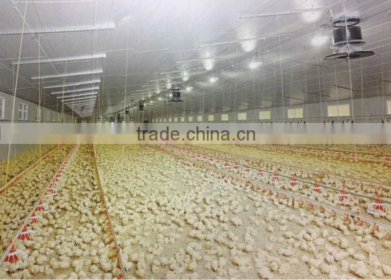 easy install chicken broiler farm house for sale