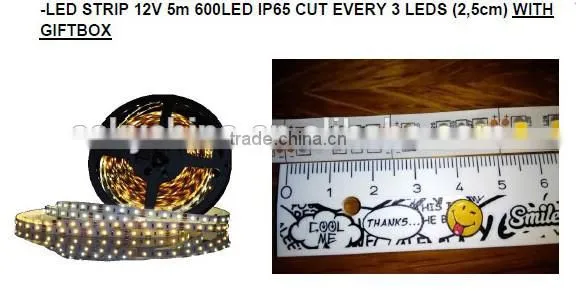 Led light waterproof IP65 White Flexible LED Strip 3528 120leds/m flexible led strip lighting