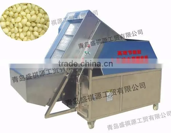 Manufacturer Of Garlic Peeler Machine