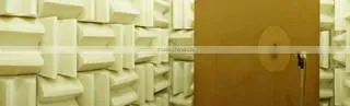 Shenzhen Wabony Electronic Co., Ltd. company overview - view 3