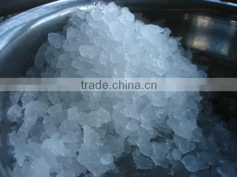 Flake Ice Maker
