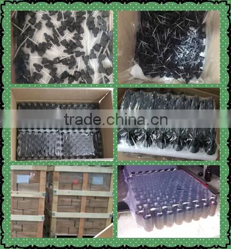 Wholesale Empty E-liquid skull shape glass dropper Bottles for e-juice in Bulk