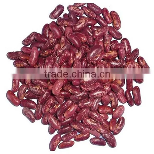 White kidney bean for sale