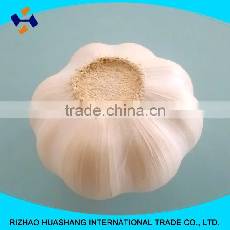 pure white fresh garlic size6.0cm