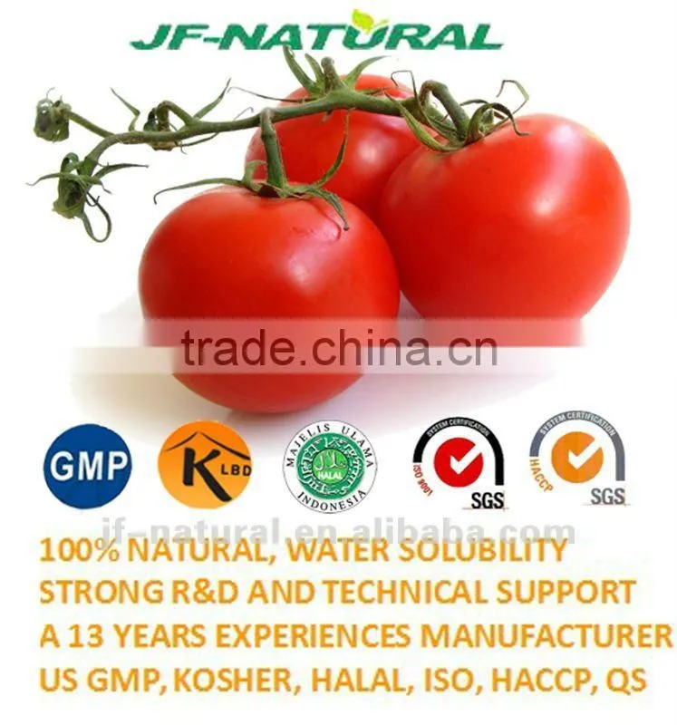 tomato puree fruit powder ISO, GMP, HACCP, KOSHER, HALAL certificated.