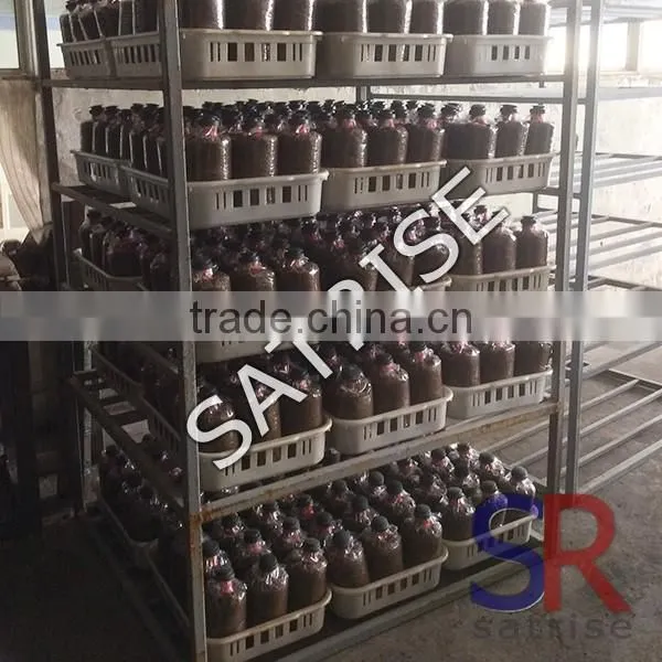 Commercial industrial autoclave steam sterilization equipment
