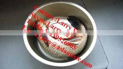 fish killing machine/fish gutting machine/fish entrails removing machine