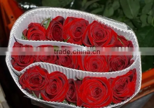 High grade fresh cut flower wholesale black magic 002 rose