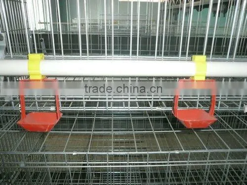 chicken poultry farm cage