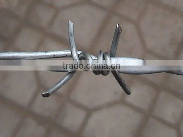 Barbed wire series