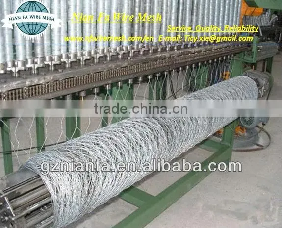 chicken netting (Factoryof Guangzhou)