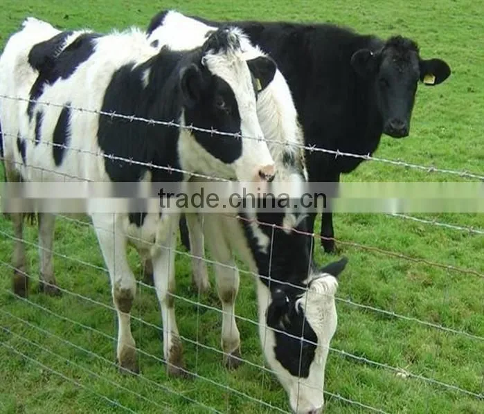 Galvanized steel deer fence, deer farm fencing, deer fencing sale (ISO 9001)