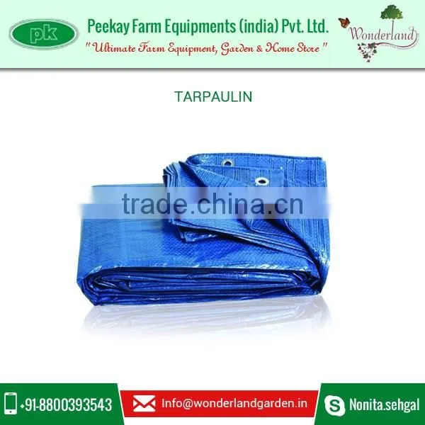 Direct from Factory High Grade Tarpaulin at Competitive Price